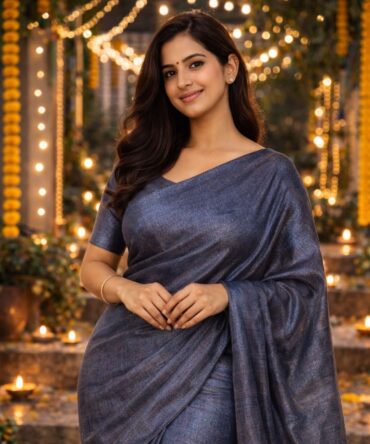 Grey Raga Tissue Saree
